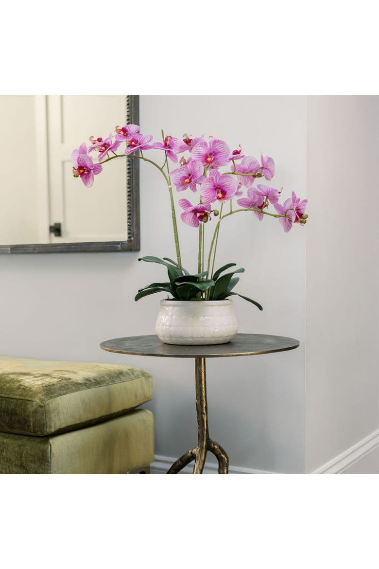 23" Phale Orchid, Alternate, color, Purple