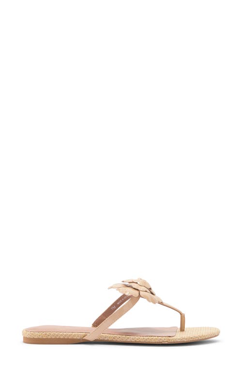 Linea Paolo Laurel Flower Sandal