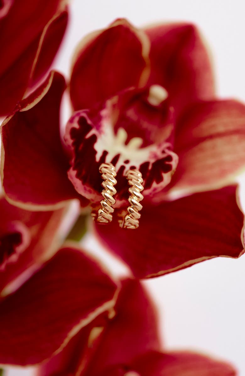 Luv AJ The Mini Snake Chain Hoop Earrings, Alternate, color, Gold