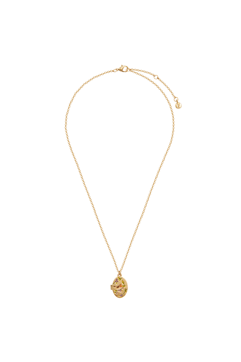 Robin & Blackberry Gold Locket Chain Necklace, Alternate, color, Gold