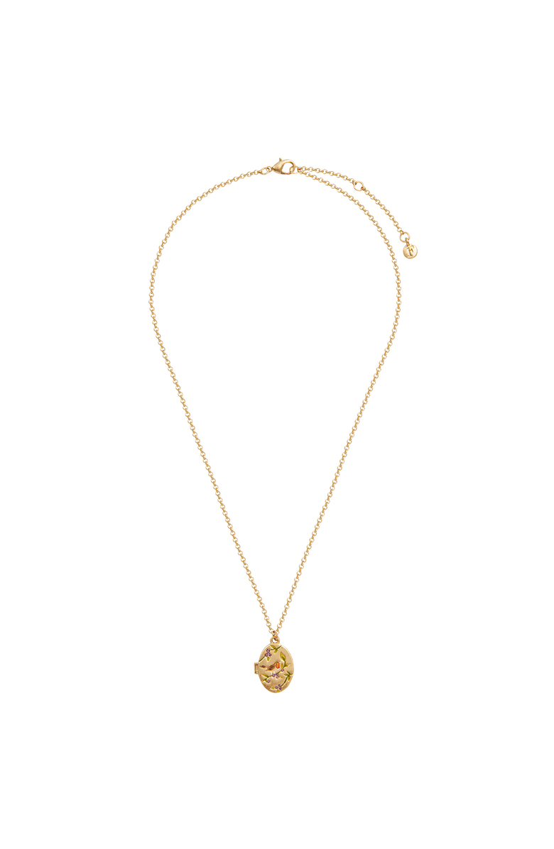 Fable England Robin & Blackberry Gold Locket Chain Necklace, Alternate, color, Gold