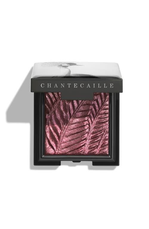 Chantecaille Luminescent Eye Shades In Gray