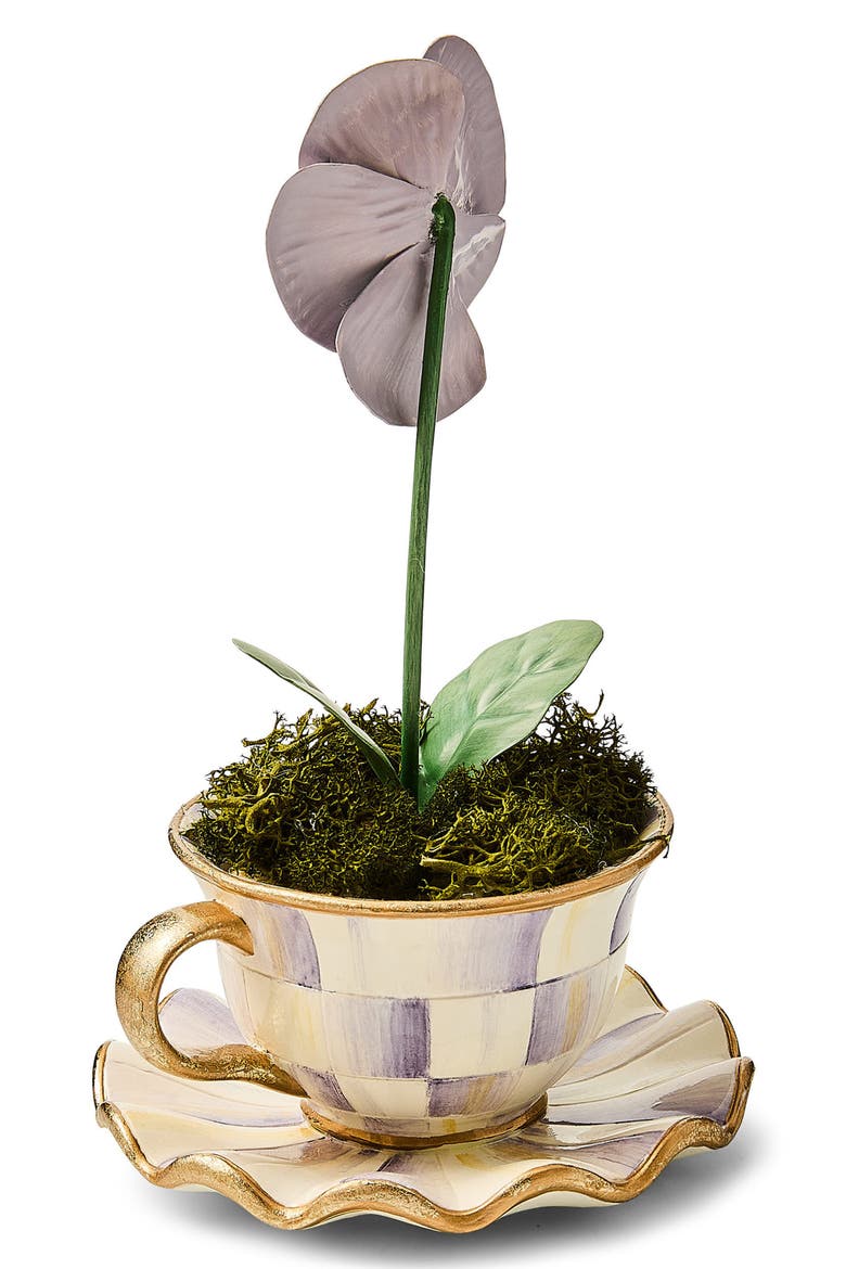 Violet Teacup Pansy, Alternate, color, VIOLET