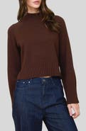 Blu Pepper Turtleneck Cozy Sweater