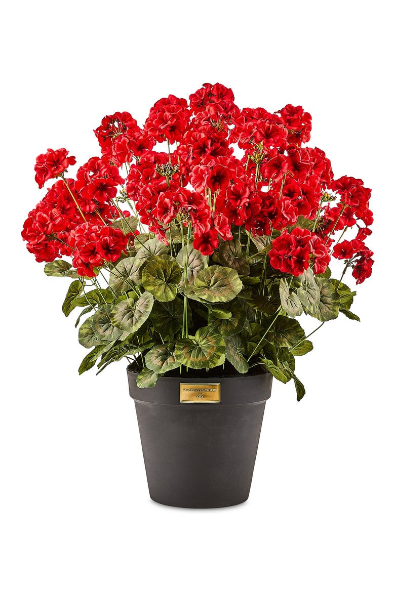 Red Geranium Urn Filler, Main, color, RED