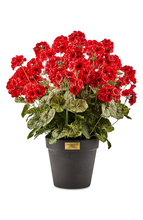 Red Geranium Urn Filler