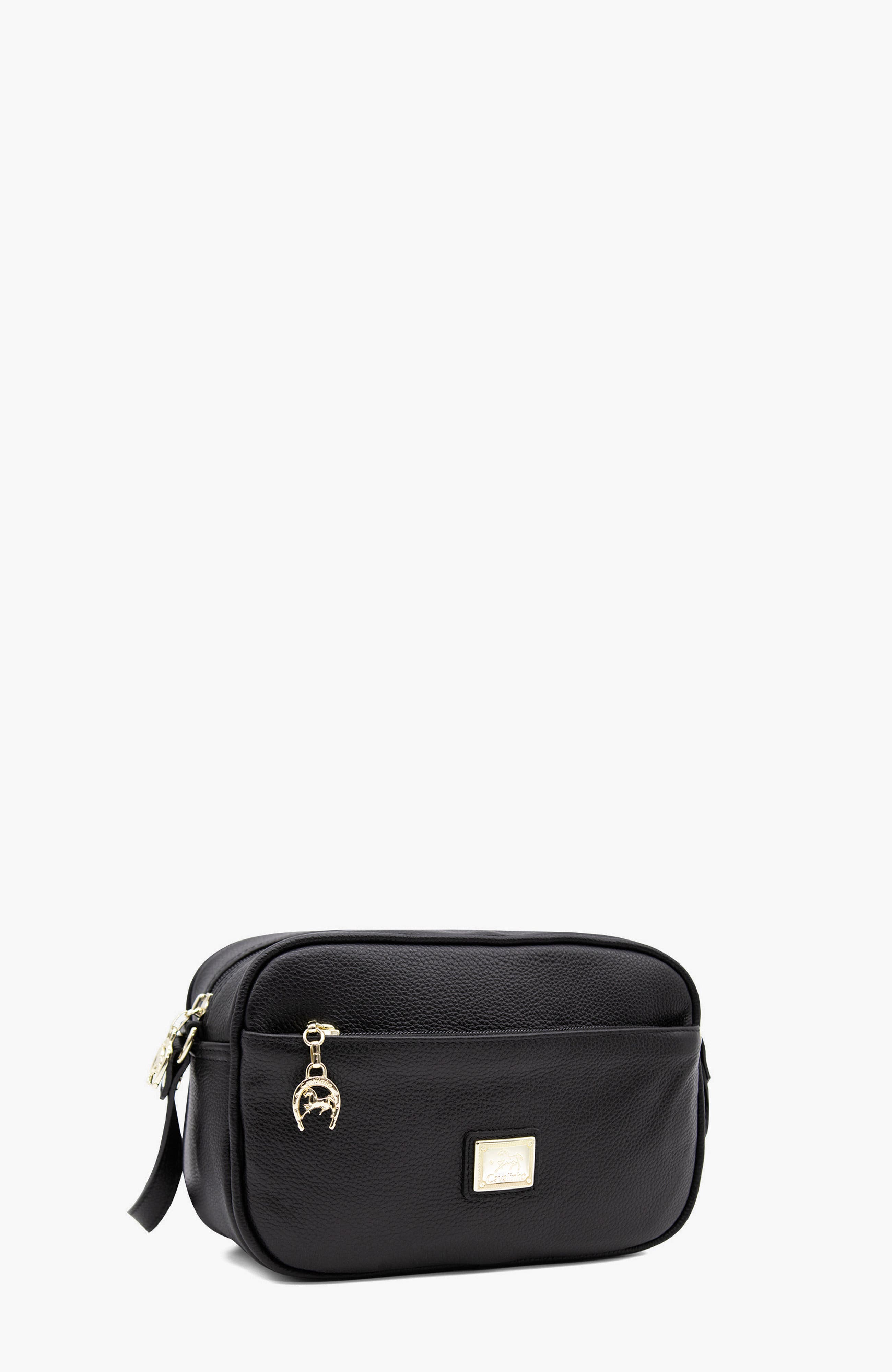 Muse 511 Pebbled Leather Crossbody Bag, Alternate, color, Black