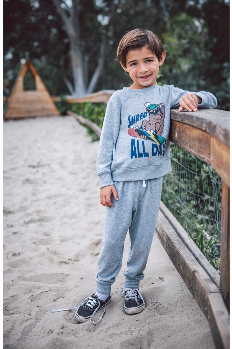 Kids' Hudson Hacci Joggers, Alternate, color, HEATHER GREY