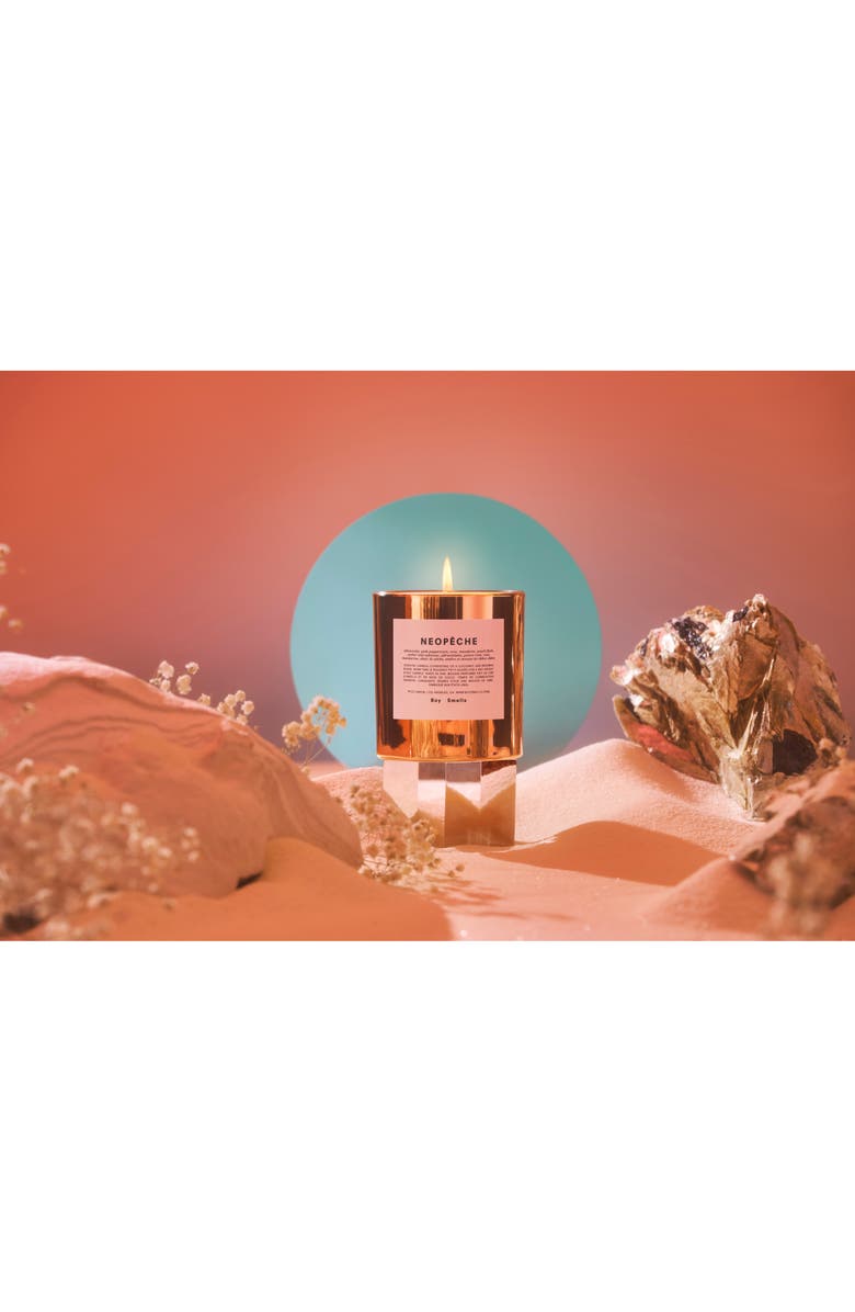 Boy Smells Hypernature Neopêche Scented Candle, Alternate, color,