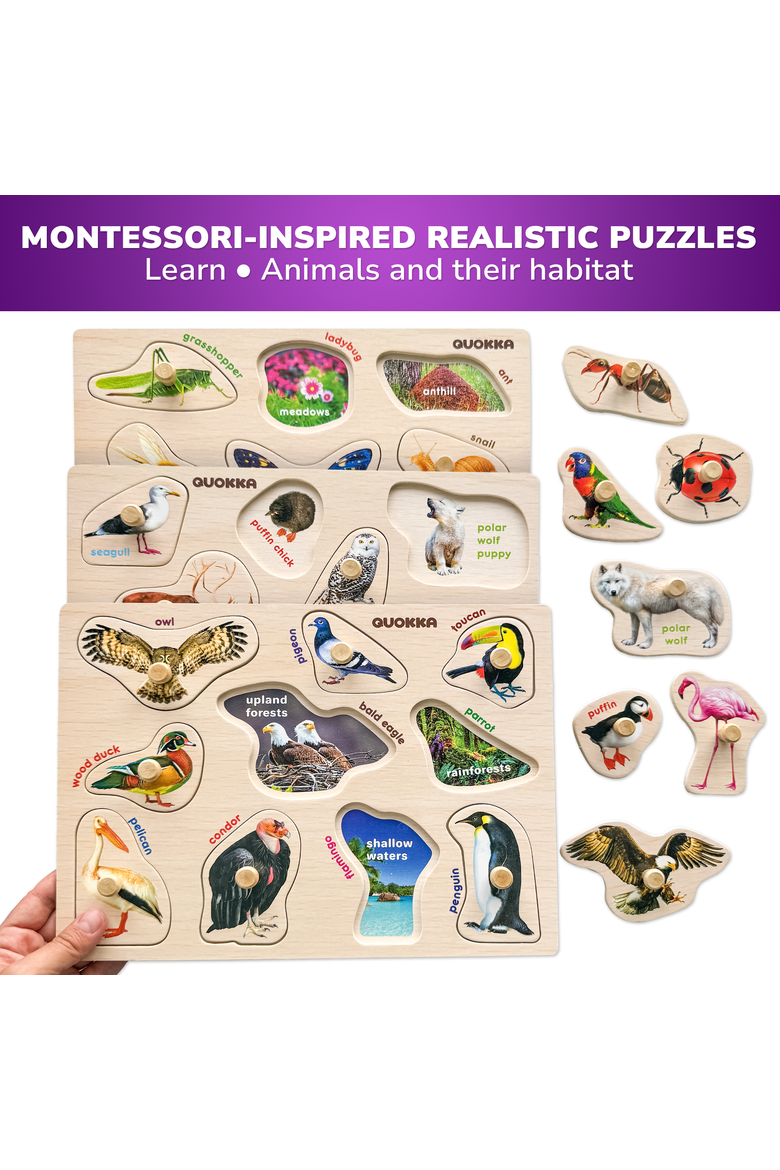 Wooden Puzzle Board Set for Toddlers, Alternate, color, 8 Realistic in a Rack