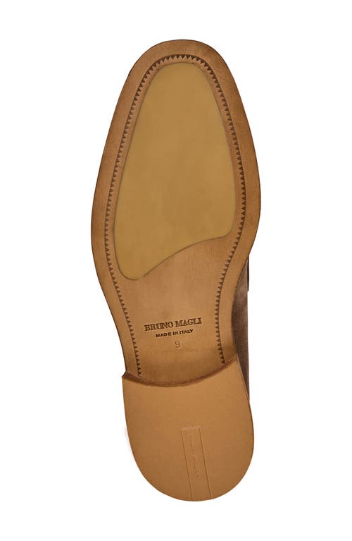 Bruno Magli Venezia Penny Loafer In Brown