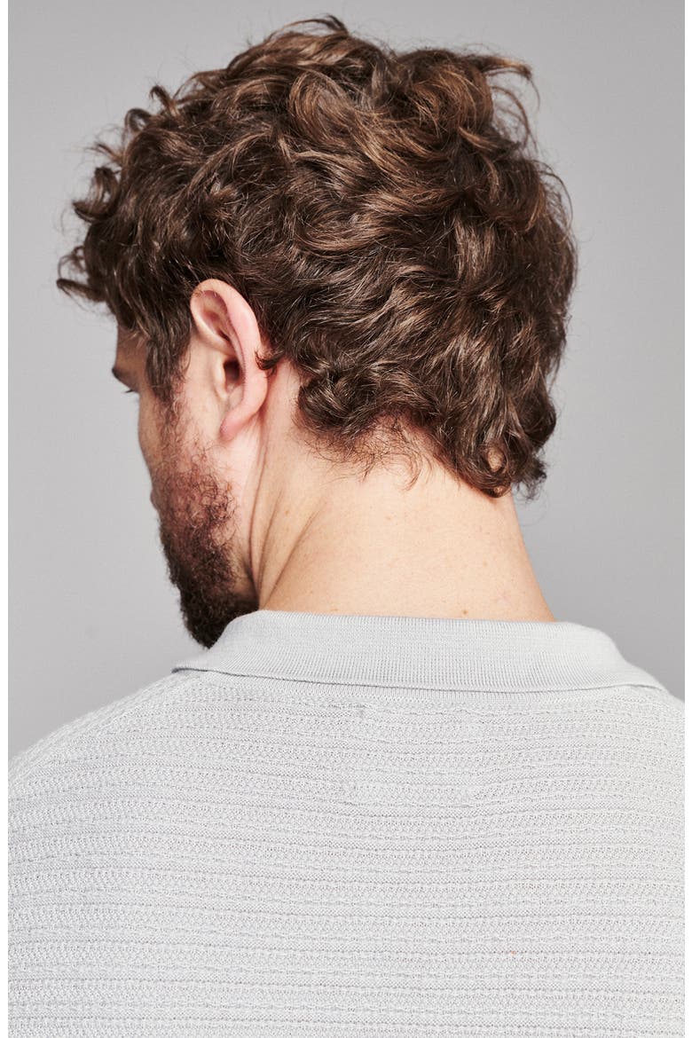 Lachlan Long Sleeve Polo, Alternate, color, GREY HEATHER