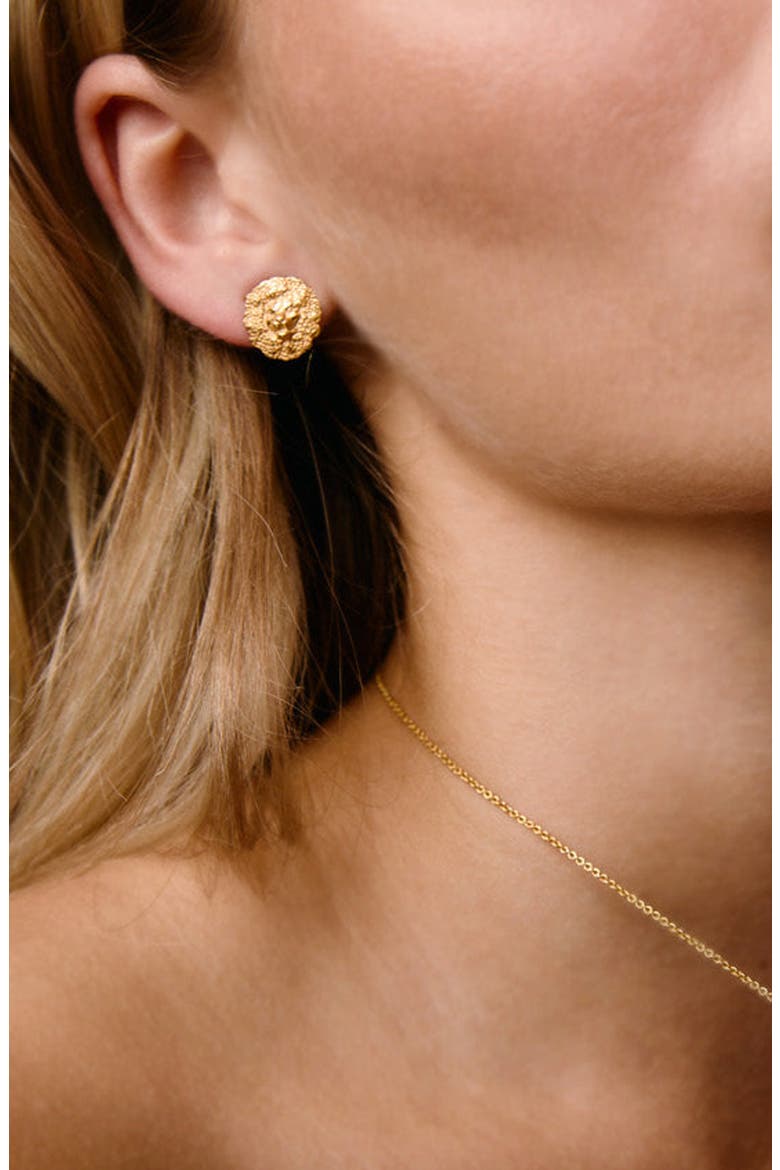 Lion Studs, Alternate, color, Gold