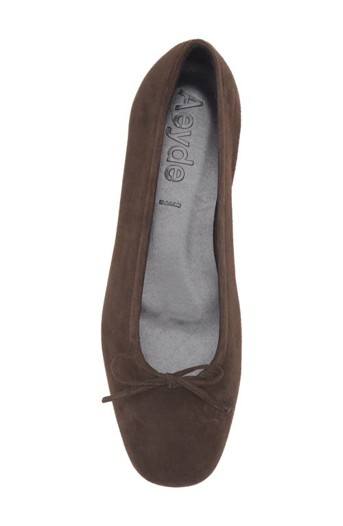 Aeyde Delfina Ballet Flat In Brown