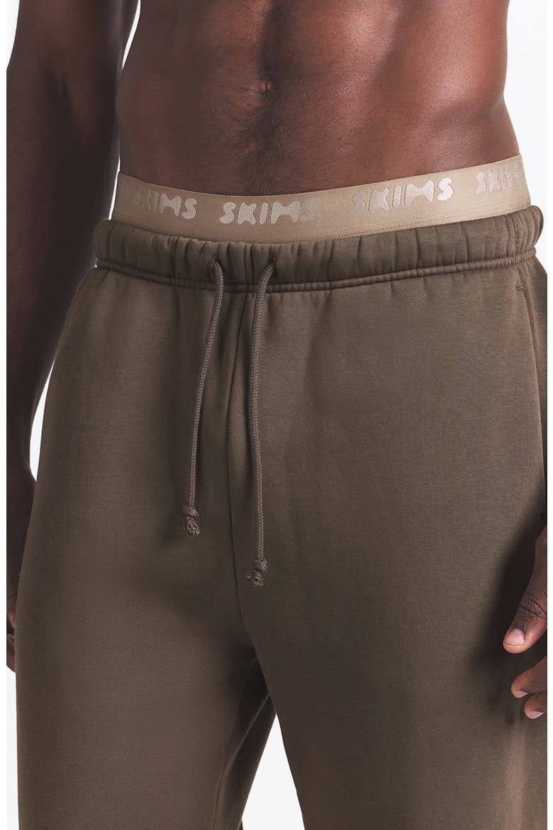 Fleece Lounge Relaxed Joggers, Alternate, color, DRIFTWOOD