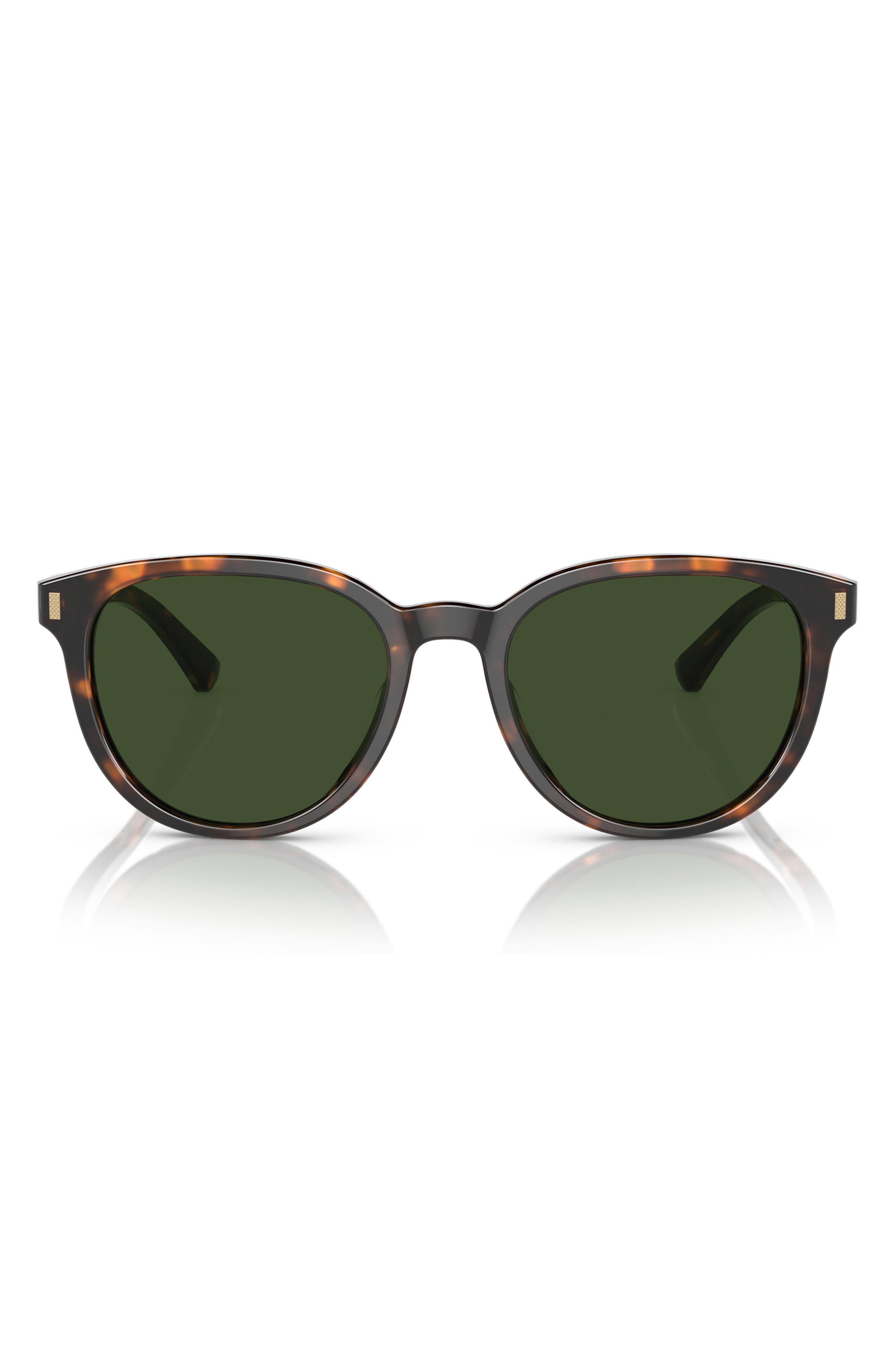 selected WARM TORT BIO / DARK GREEN