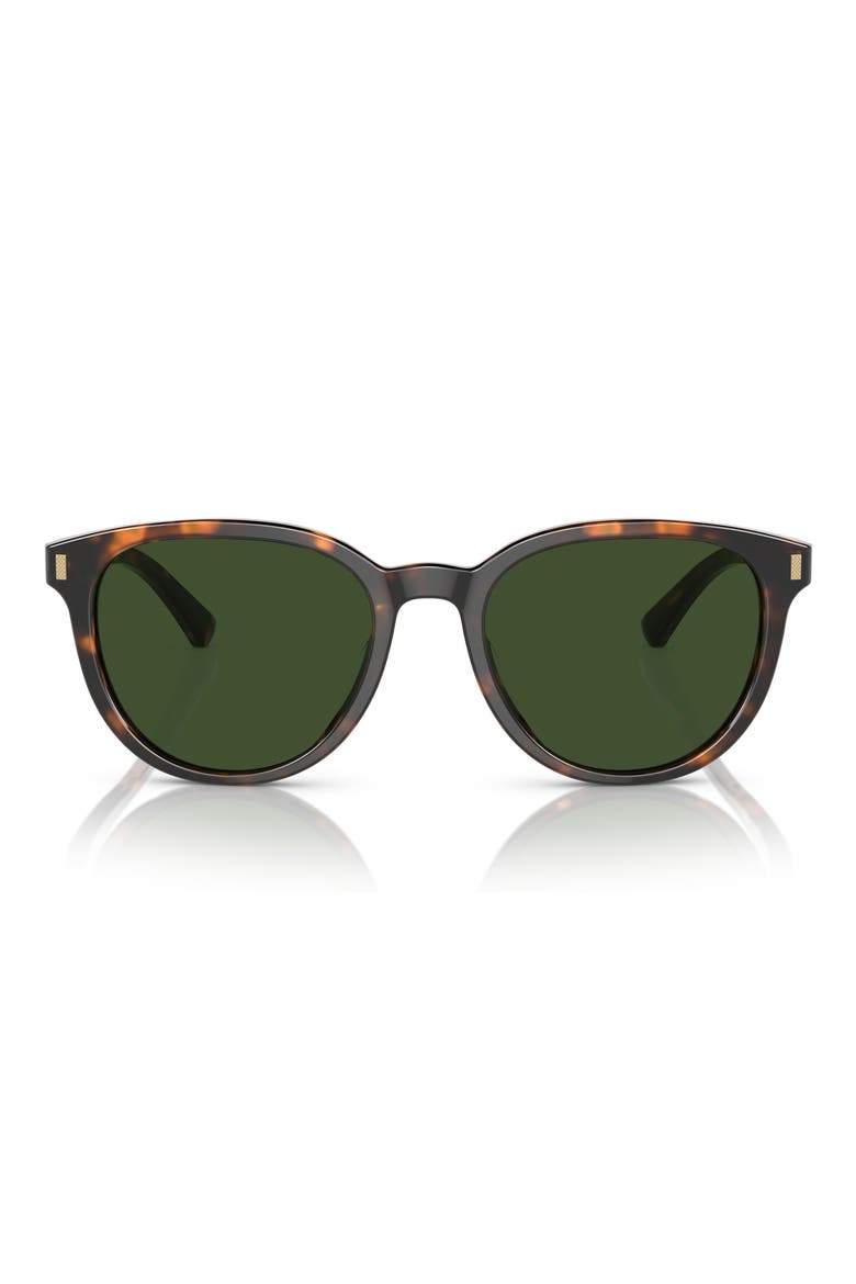 55mm Round Sunglasses, Main, color, WARM TORT BIO / DARK GREEN