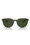 selected Warm Tort Bio / Dark Green