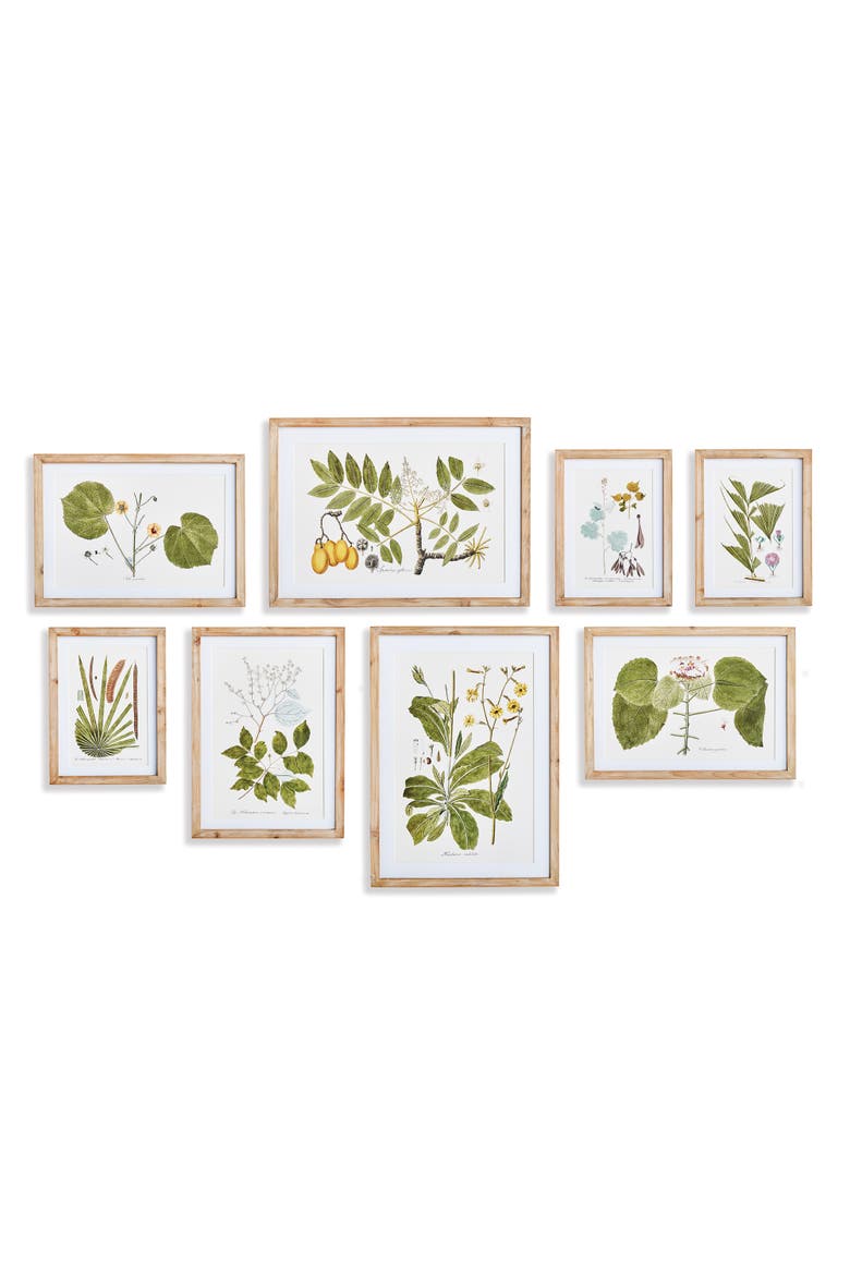 Flora And Fauna Gallery Prints Framed Wall Art Set of 8, Main, color, Green