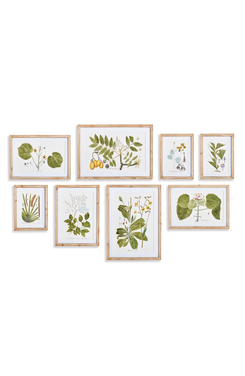 Napa Home & Garden Flora And Fauna Gallery Prints Framed Wall Art Set of 8, Main, color, 