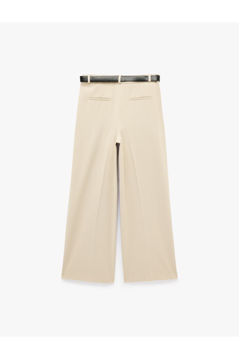 High Rise Pleated Tailored Pants With Belted, Alternate, color, BEIGE