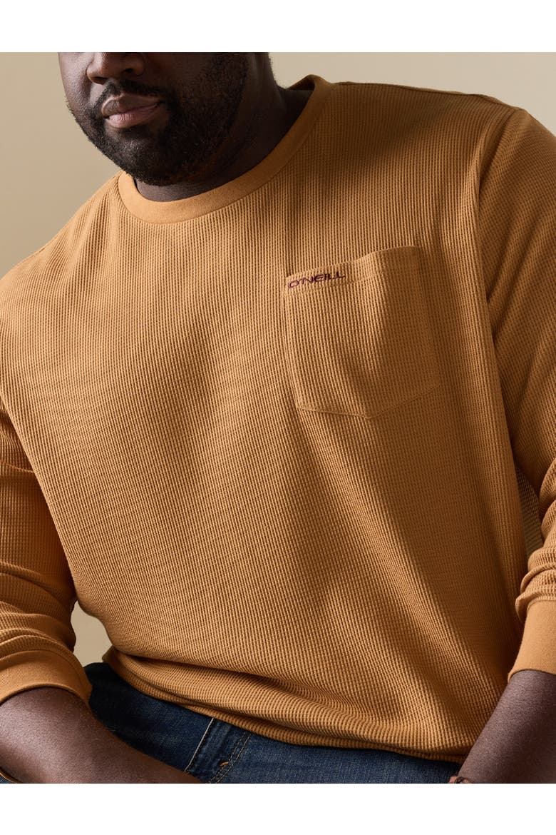 Big & Tall Overland Crewneck Long-Sleeve T-Shirt, Alternate, color, WOODSHACK