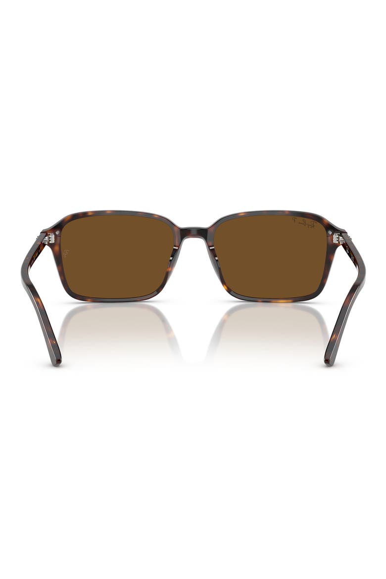 56mm Polarized Square Sunglasses, Alternate, color, HAVANA