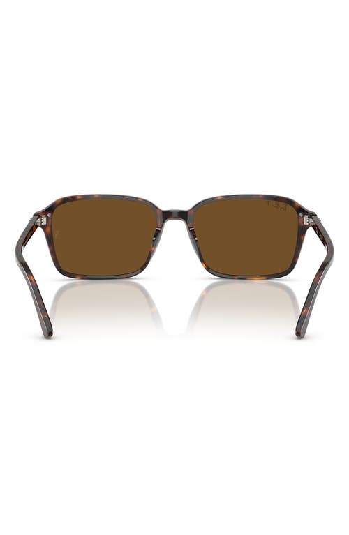 Ray Ban Ray-ban Raimond 58mm Polarized Transition Square Sunglasses In Havana
