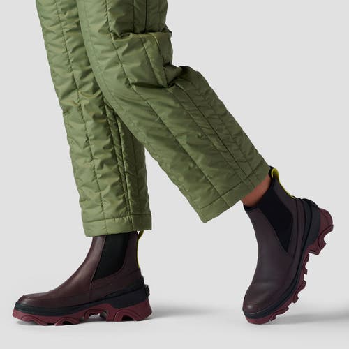 Backcountry Oakbury Synthetic Quilted Pant In Green