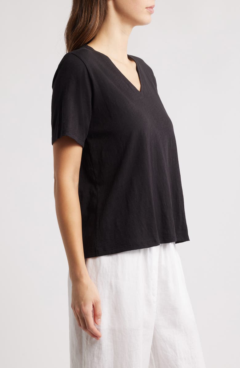 Eileen Fisher Easy Organic Cotton T-Shirt, Alternate, color, Black