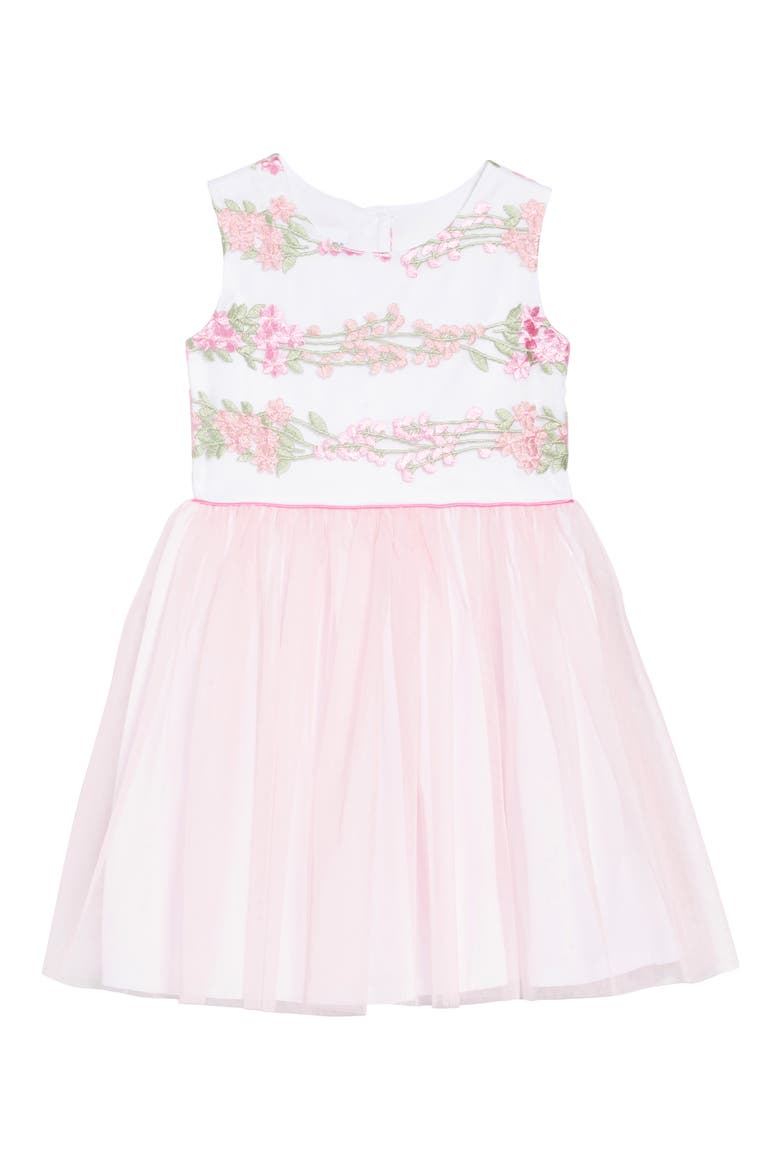 Embroidered Fit & Flare Dress, Main, color, LIGHT PINK