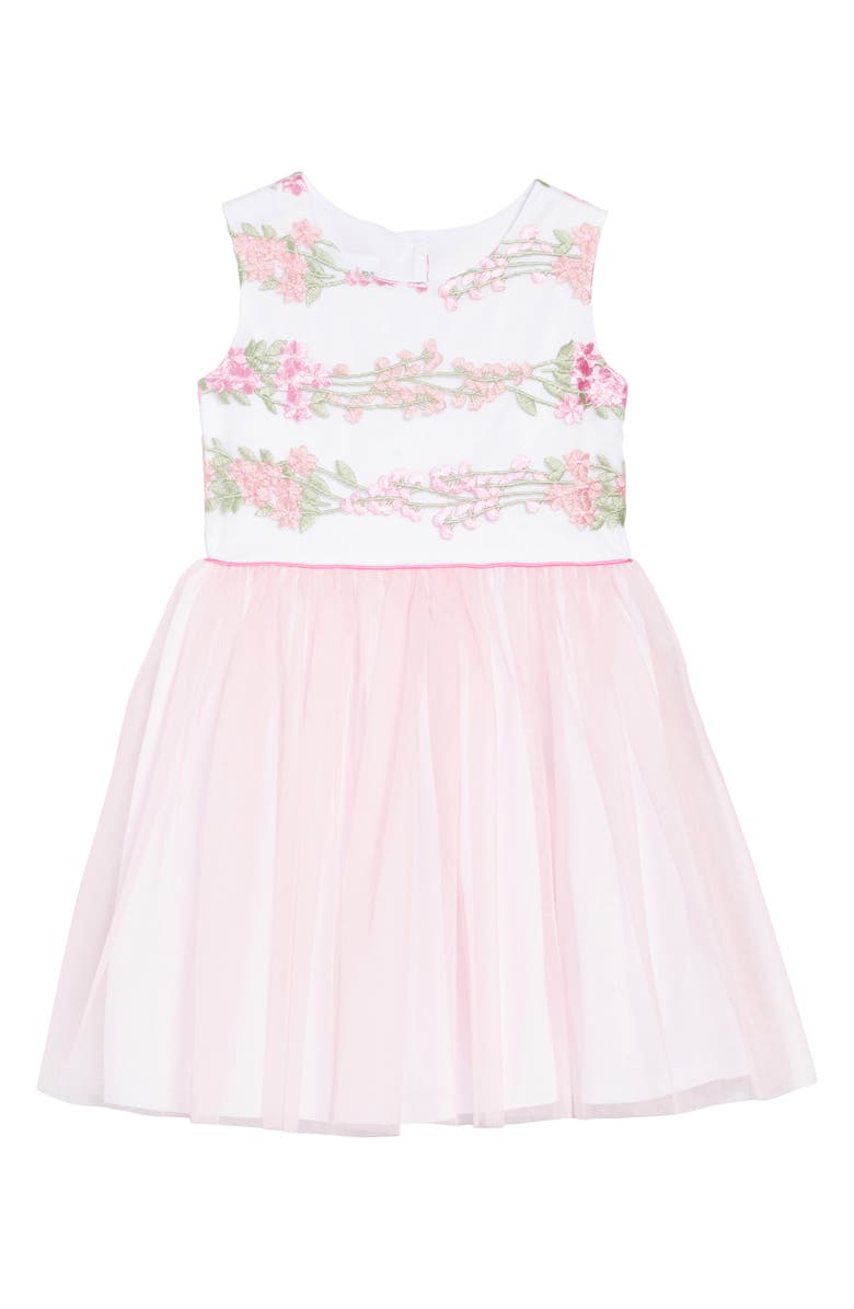 Frais Embroidered Fit & Flare Dress, Main, color,