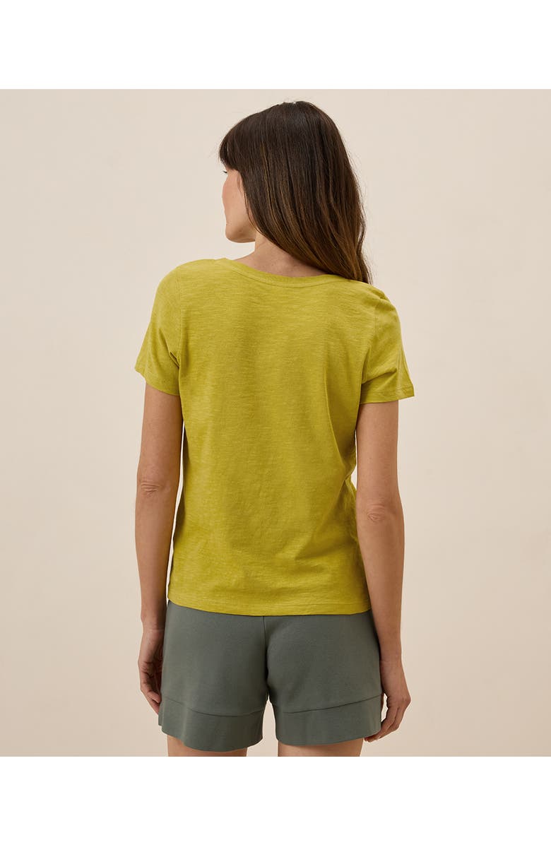 Pact Organic Cotton Featherweight Slub V-Neck Tee, Alternate, color, Black