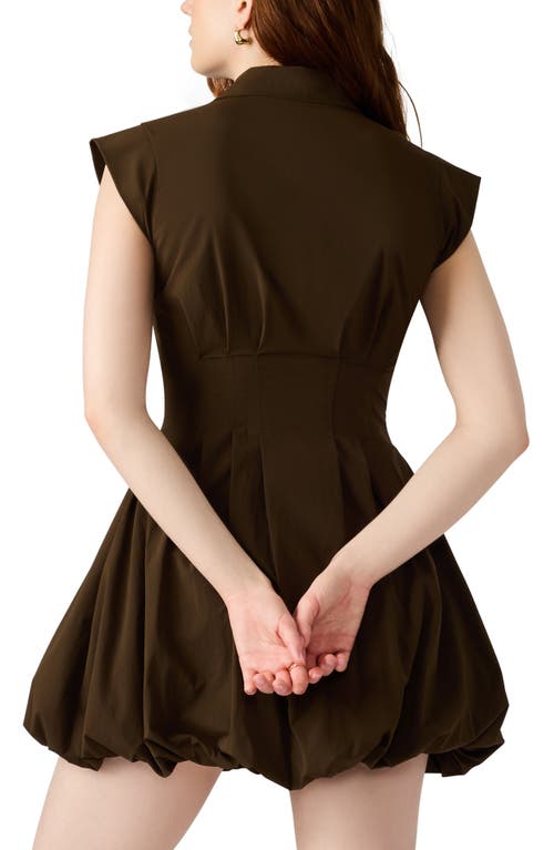 Steve Madden Dyanne Poplin Pleated Mini Dress In Brown