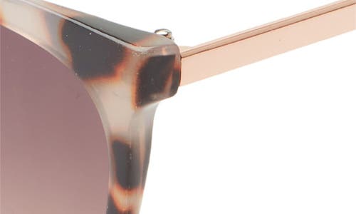 Bp. Oversize Cateye Sunglasses In Tortoise