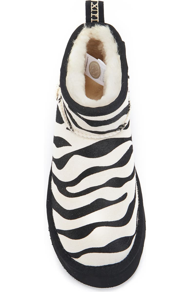 Australia Luxe Collective Cosy Genuine Shearling Zebra Ultra Platform Bootie, Alternate, color, Zebra Mono