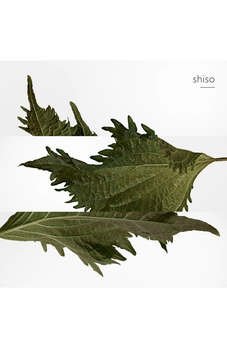 Hermès Terre d’Hermès - Pure perfume, Alternate, color, 