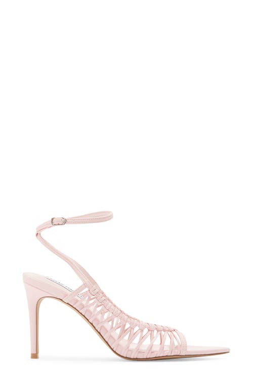 Steve Madden Cagee Sandal In Pink