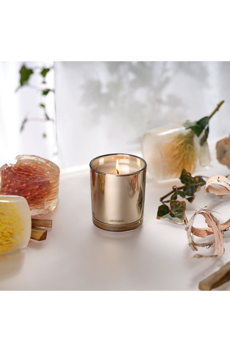 APOTHEKE Firewood Classic Scented Candle, Alternate, color, Light Beige