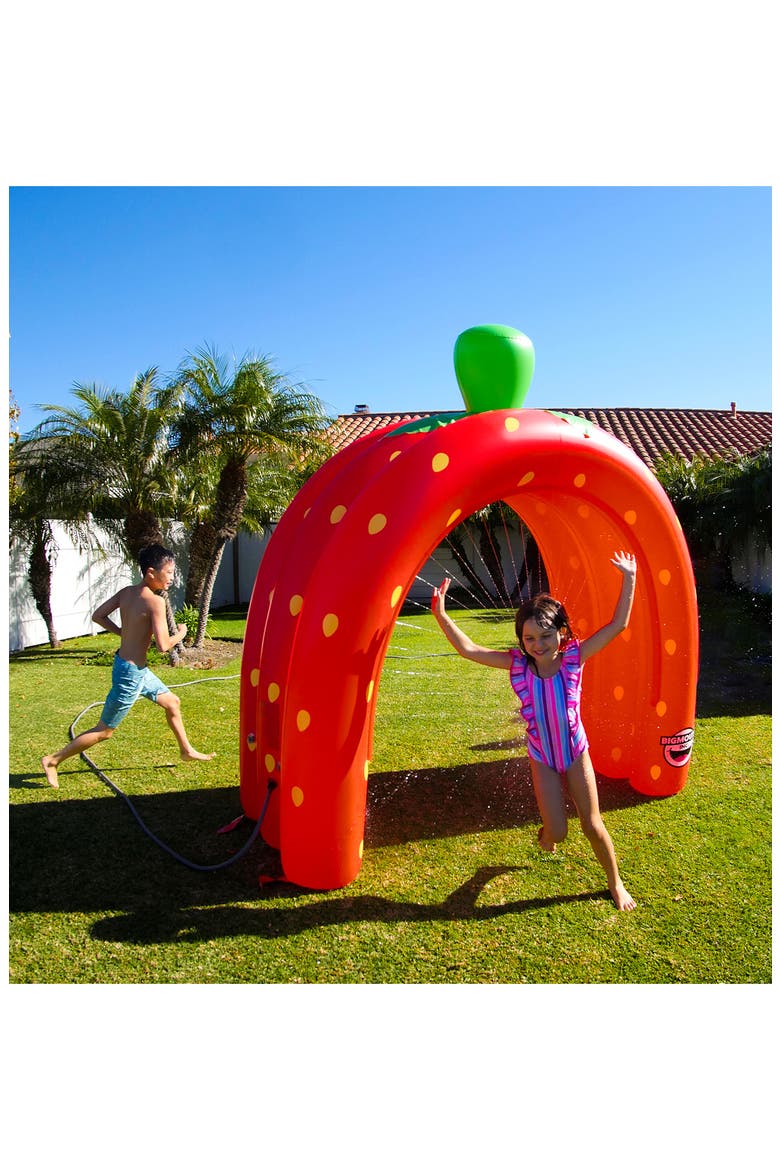 Strawberry Sprinkler, Alternate, color, MULTI