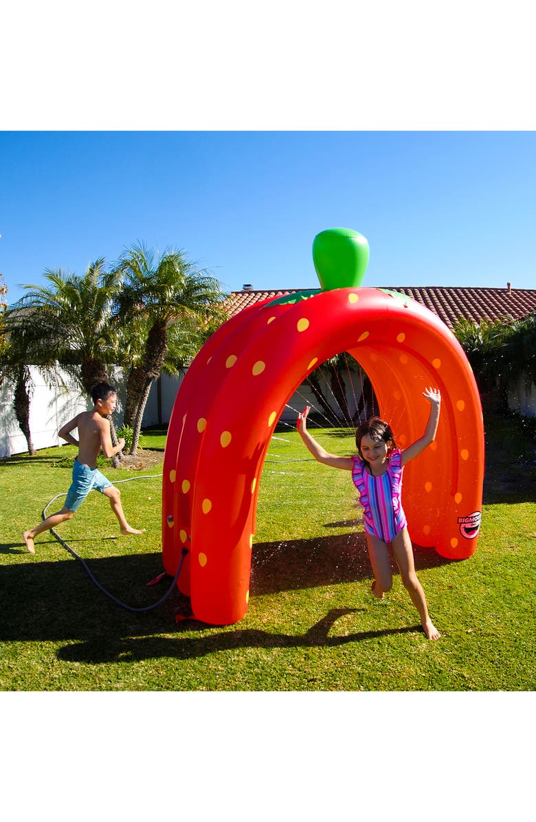 BigMouth Inc Strawberry Sprinkler, Alternate, color,