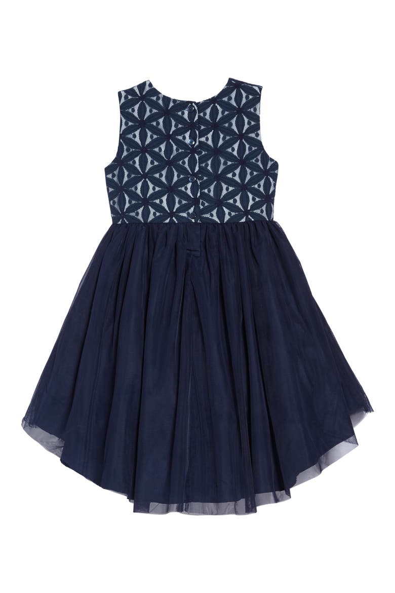 Embroidered Tutu Dress, Alternate, color, NAVY