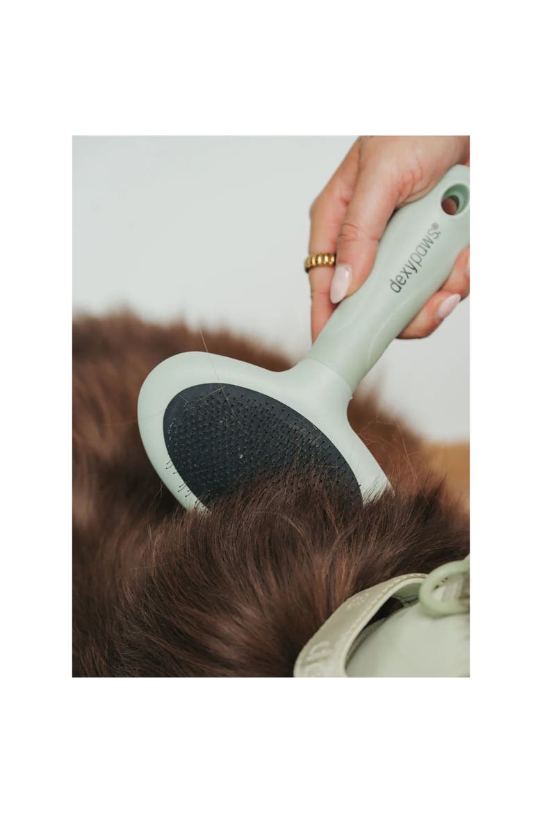 Slicker Brush, Medium, Sage Green, Dog & Cat Grooming Tool, Alternate, color, Green