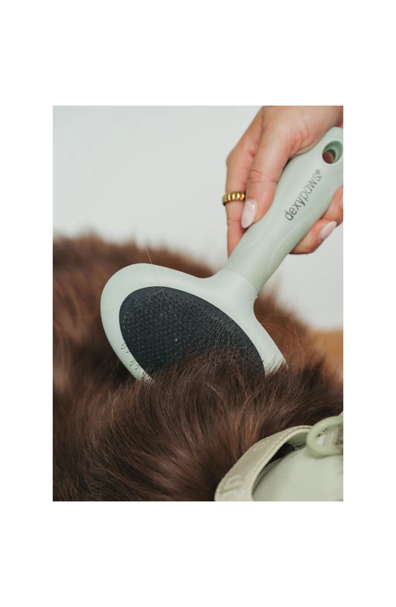 Dexypaws Slicker Brush, Medium, Sage Green, Dog & Cat Grooming Tool, Alternate, color, Green