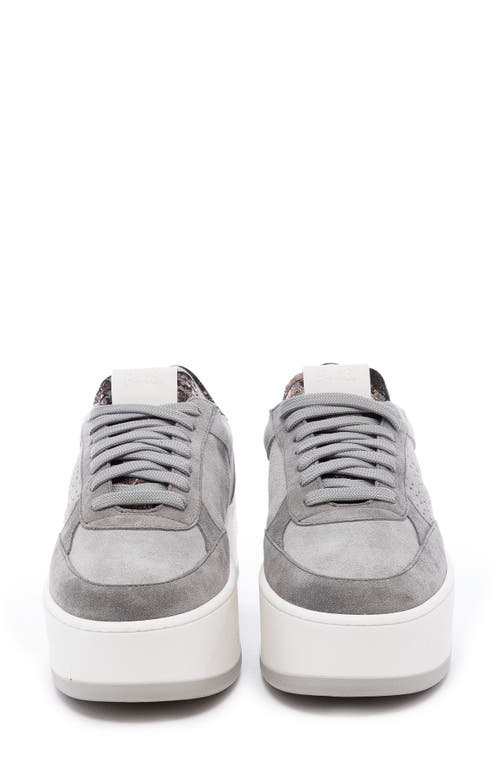 P448 Empire Platform Sneaker In Grey-giove
