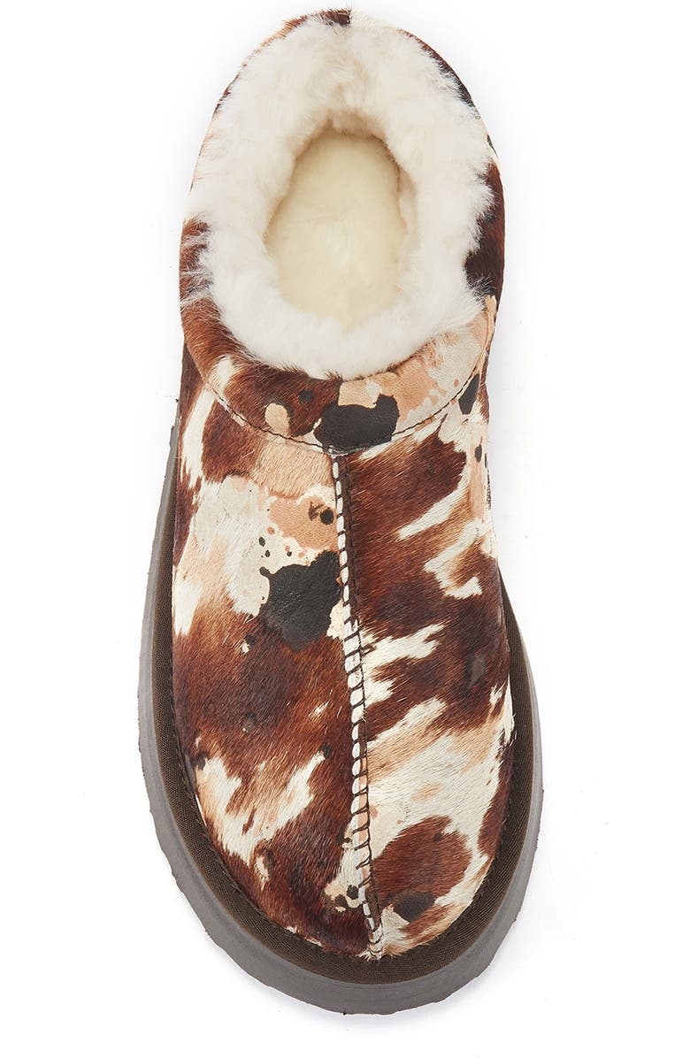Australia Luxe Collective Cosy Genuine Shearling & Calf Hair Clog, Alternate, color, Splat