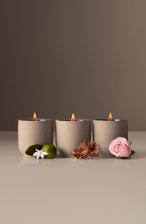 Homecourt Candle Discovery Set $75 Value In Brown