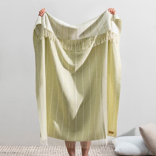 Lands Downunder Fiji Stripe Throw In Green