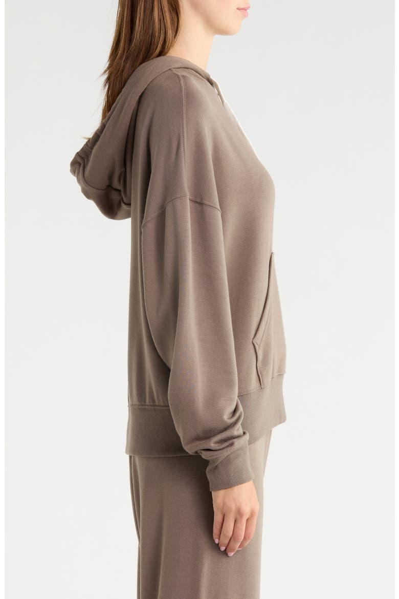 Joey Fleece Hoodie, Alternate, color, LENTIL