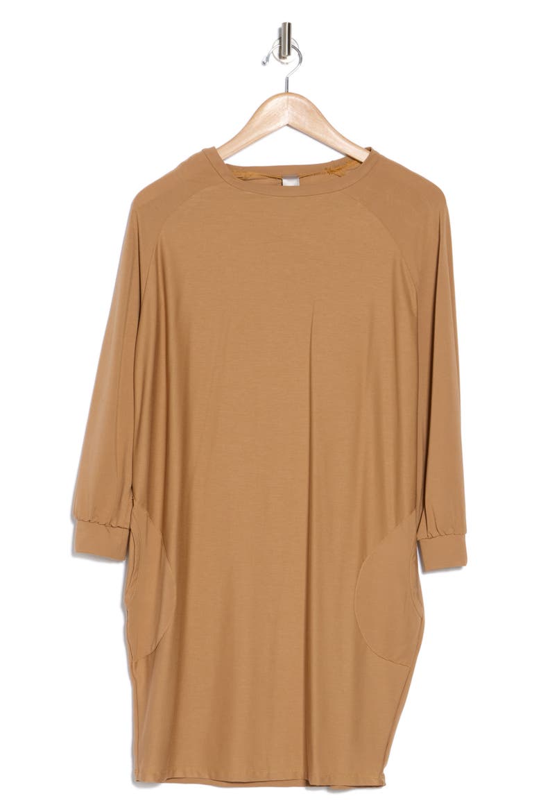 Relax With Me Long Sleeve Sweater Dress, Alternate, color, TOASTED ALMOND